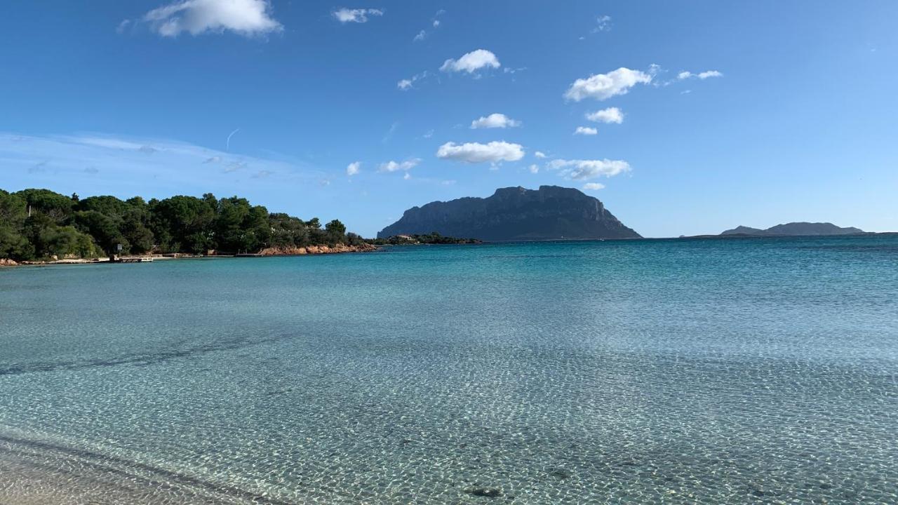 Rosa Dei Venti - Casa Maestrale - Sardegna - Iun R2217 Villa Olbia Ngoại thất bức ảnh